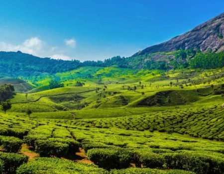 Munnar-Tourism-Kerala-1000x565